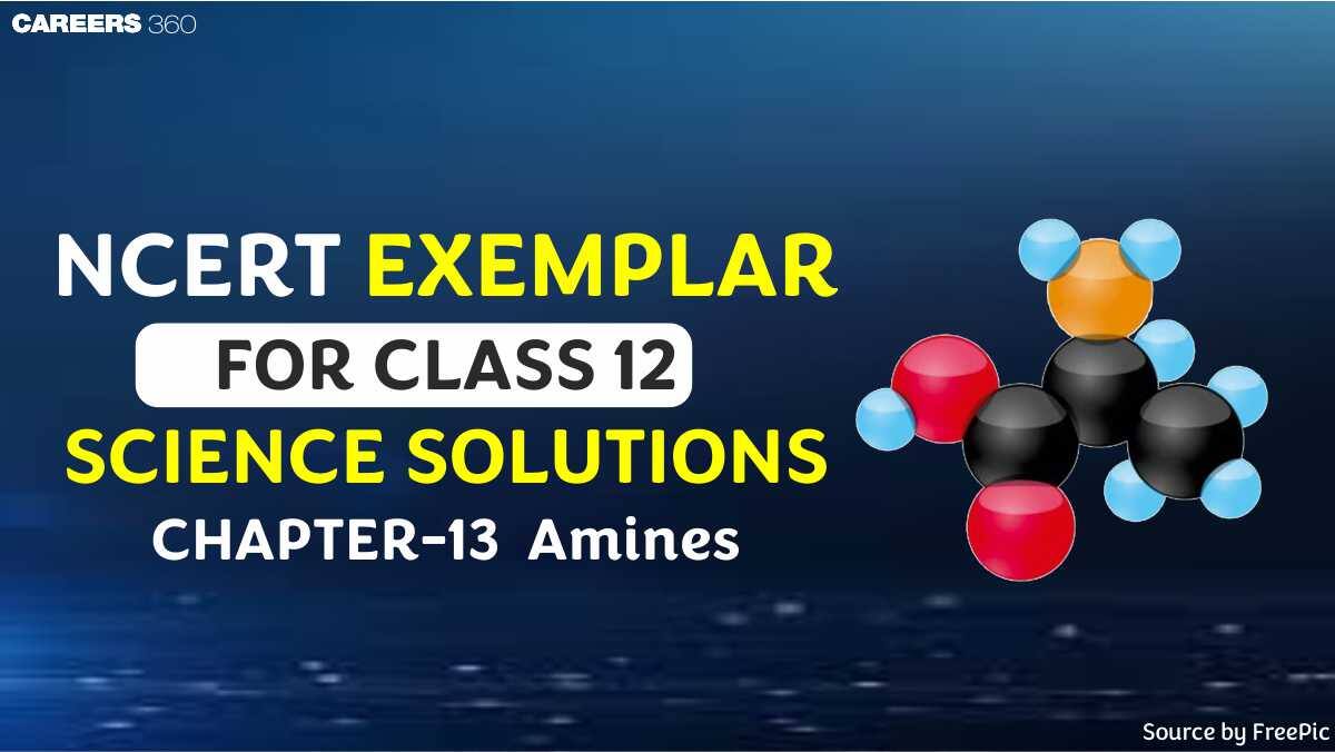 NCERT Exemplar Class 12 Chemistry Solutions chapter 13 Amines